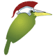 The icon of the project