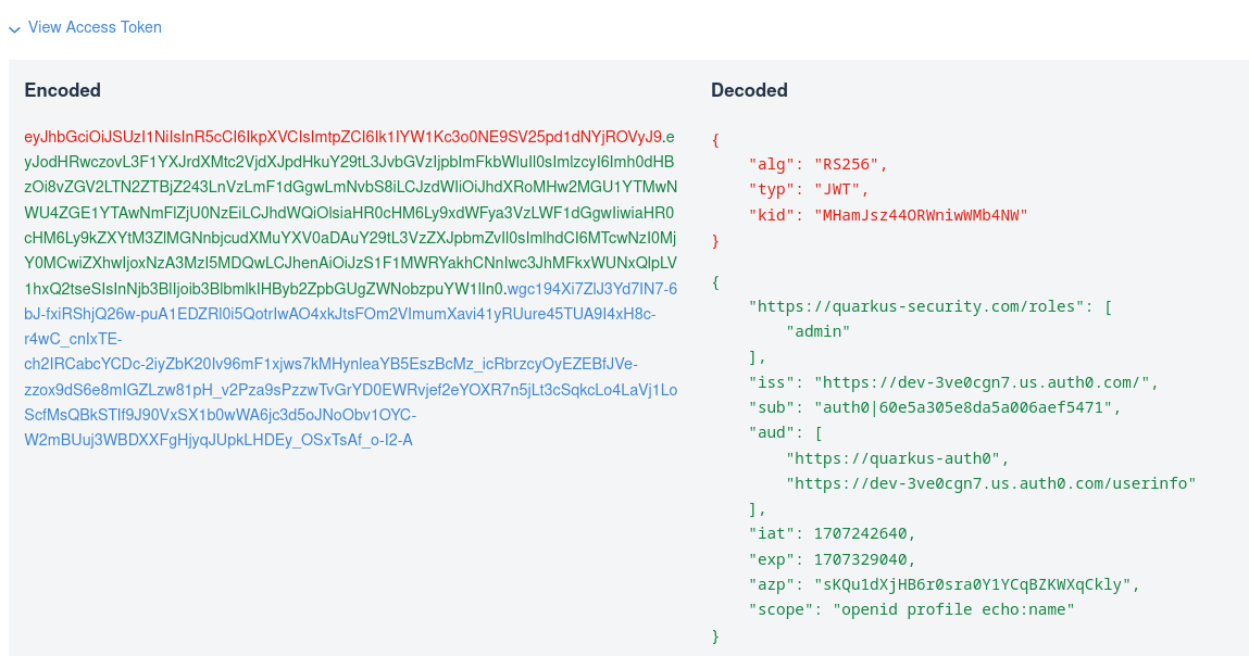 Auth0 DevUI JWT Access Token